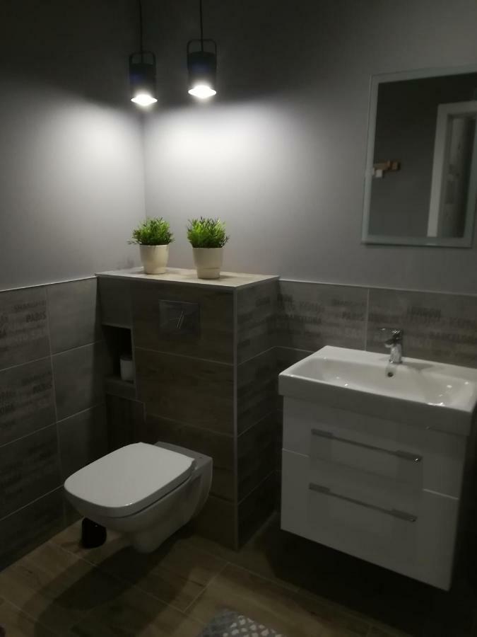 Apartament Swieradowアパートメント エクステリア 写真