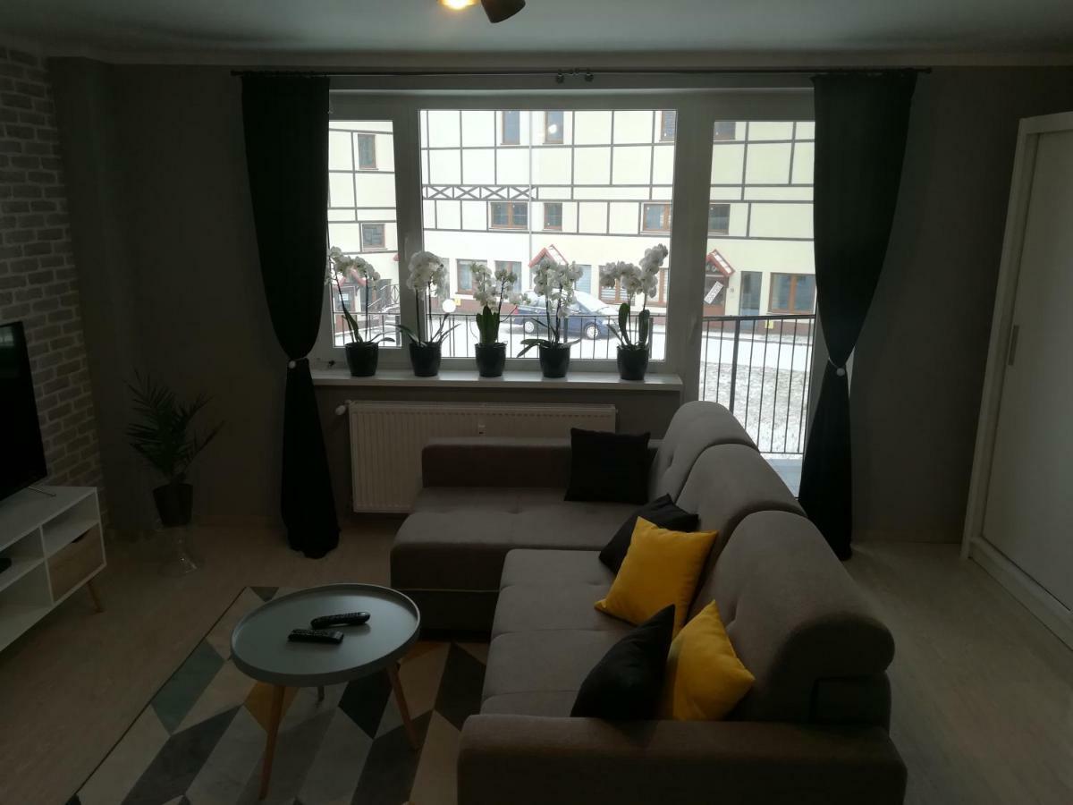 Apartament Swieradowアパートメント エクステリア 写真