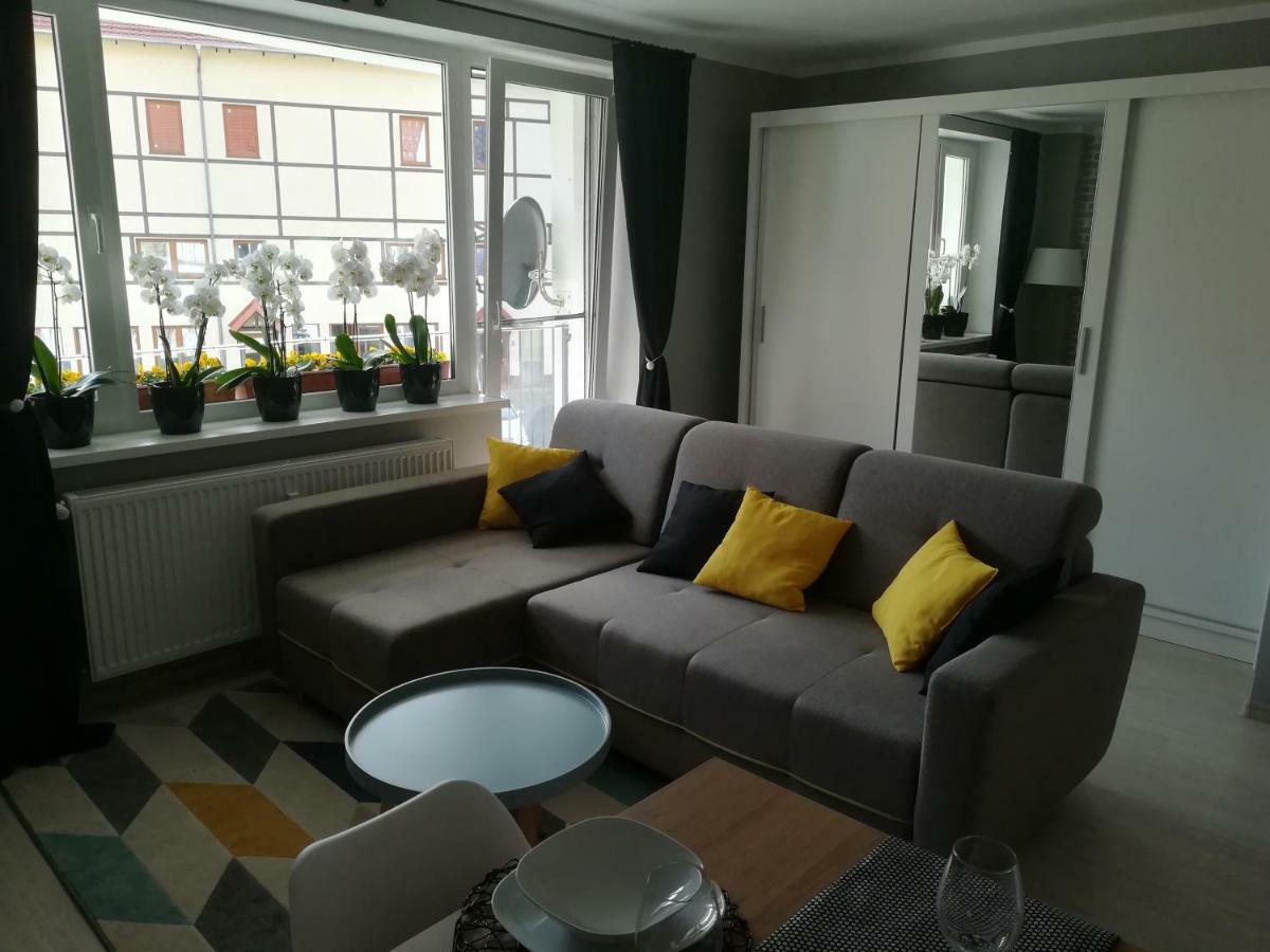 Apartament Swieradowアパートメント エクステリア 写真